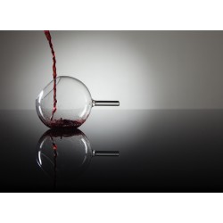 Rebellion Wine Glass