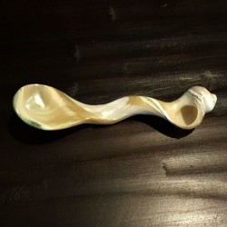 Sea Shell Spoon