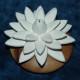 Scenting Clay Water Lily